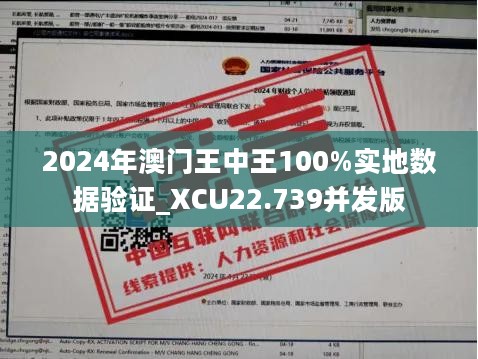 2024年澳门王中王100%实地数据验证_XCU22.739并发版