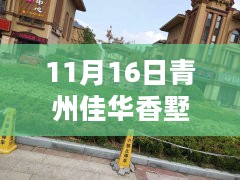 青州佳华香墅，温馨日常，友情趣事与家的温暖时光（11月16日最新消息）