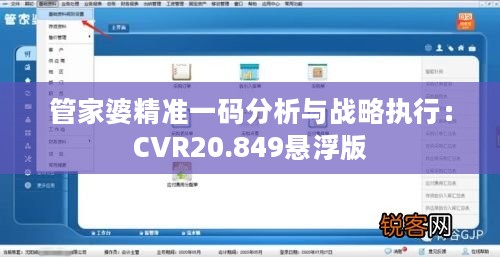 管家婆精准一码分析与战略执行：CVR20.849悬浮版