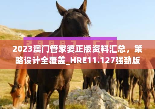 2023澳门管家婆正版资料汇总，策略设计全覆盖_HRE11.127强劲版