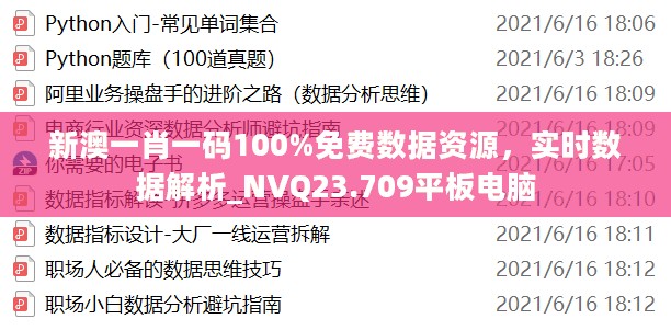 新澳一肖一码100%免费数据资源，实时数据解析_NVQ23.709平板电脑