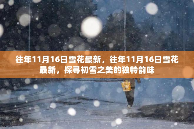 探寻往年11月16日初雪之美的独特韵味，最新雪花欣赏与体验