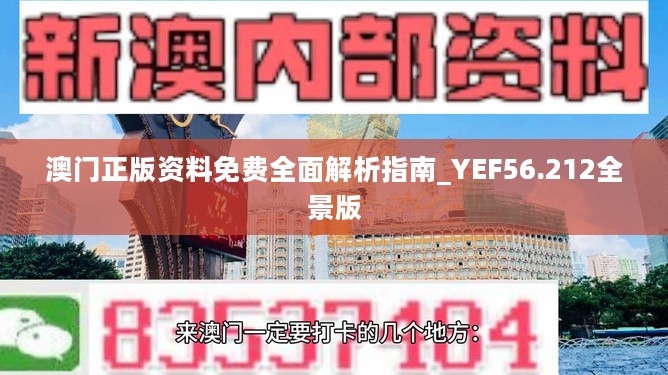 澳门正版资料免费全面解析指南_YEF56.212全景版