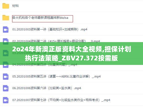 2o24年新澳正版资料大全视频,担保计划执行法策略_ZBV27.372按需版