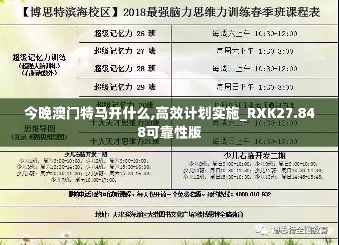 今晚澳门特马开什么,高效计划实施_RXK27.848可靠性版