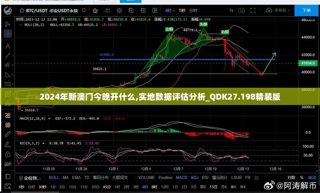 2024年新澳门今晚开什么,实地数据评估分析_QDK27.198精装版