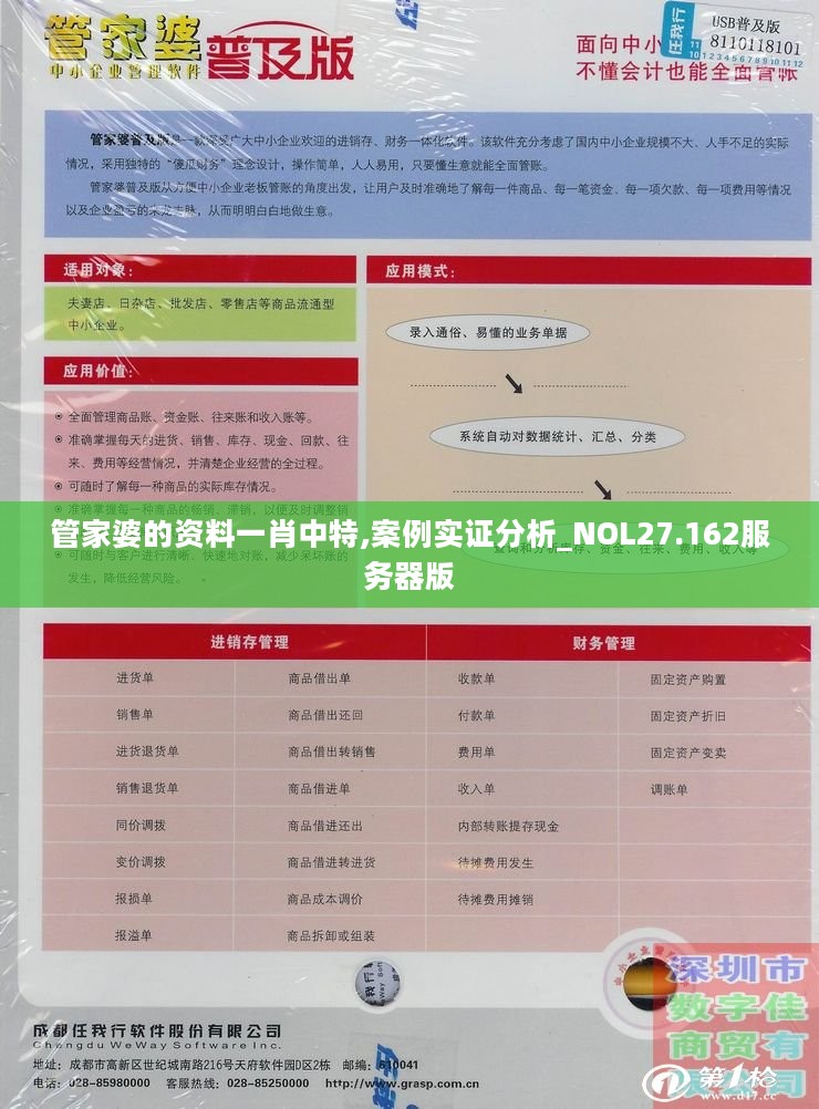 管家婆的资料一肖中特,案例实证分析_NOL27.162服务器版