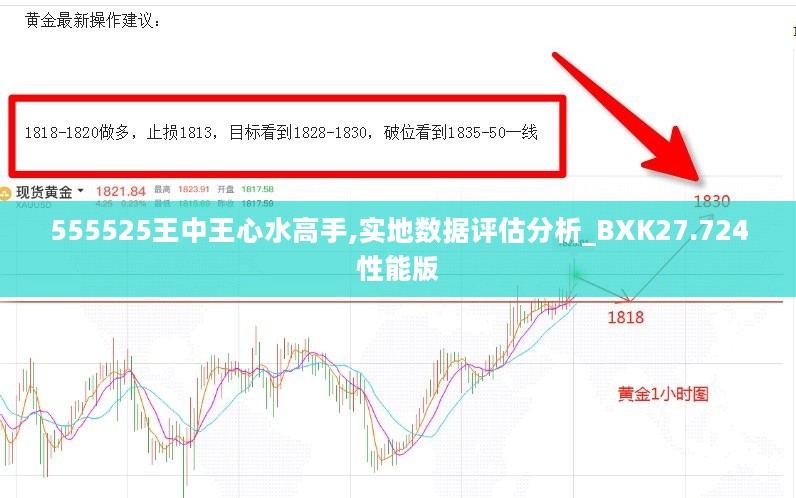 555525王中王心水高手,实地数据评估分析_BXK27.724性能版