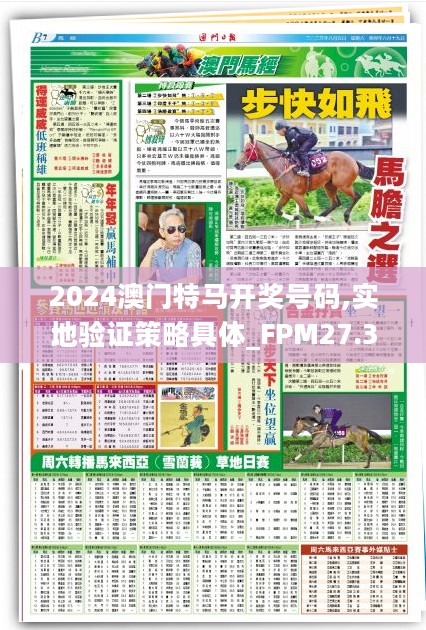 2024澳门特马开奖号码,实地验证策略具体_FPM27.389计算机版