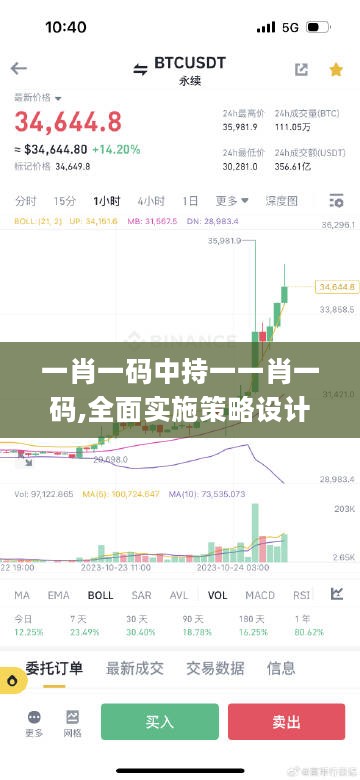 一肖一码中持一一肖一码,全面实施策略设计_EXJ27.854数字版