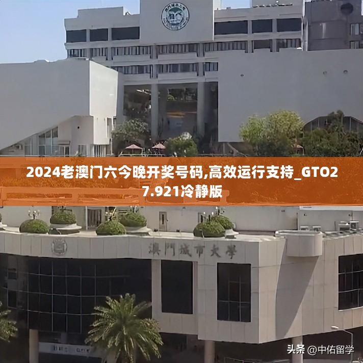 2024老澳门六今晚开奖号码,高效运行支持_GTO27.921冷静版