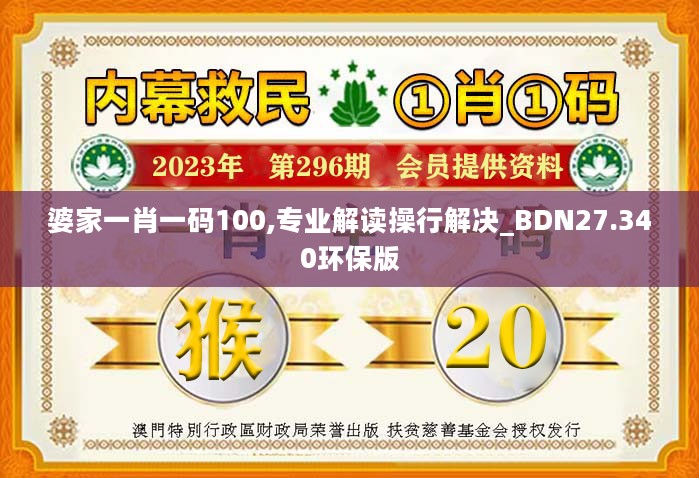 婆家一肖一码100,专业解读操行解决_BDN27.340环保版