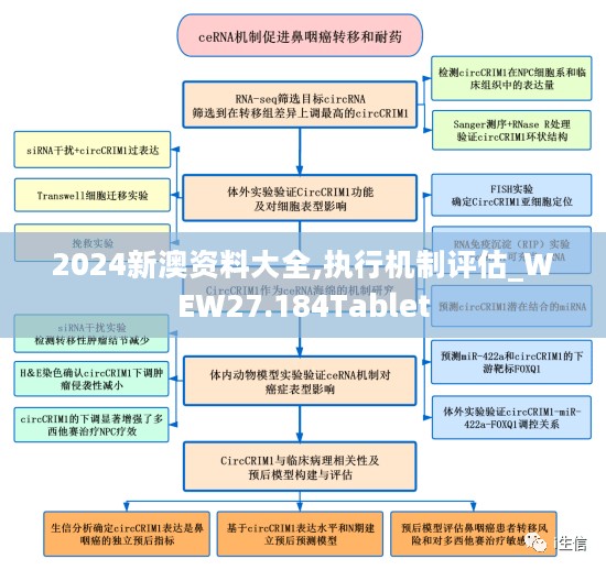 2024新澳资料大全,执行机制评估_WEW27.184Tablet