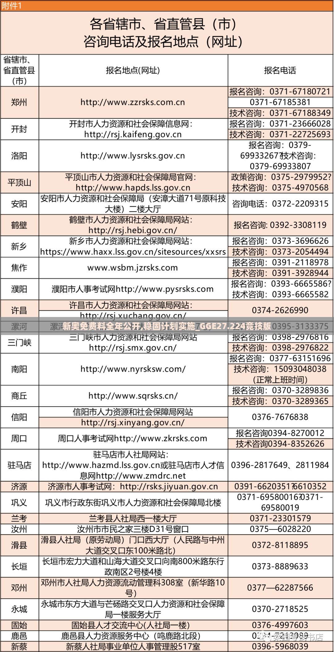 新奥免费料全年公开,稳固计划实施_GGE27.224竞技版