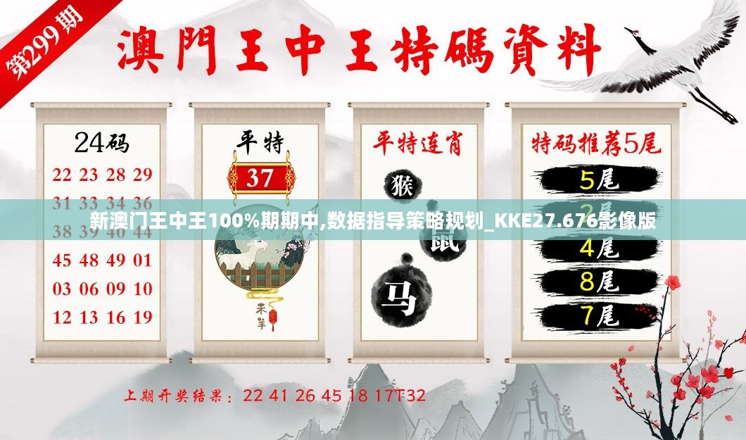 新澳门王中王100%期期中,数据指导策略规划_KKE27.676影像版