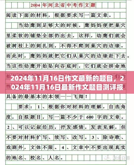 2024年11月16日最新作文题目测评报告，洞悉出题趋势与答题技巧