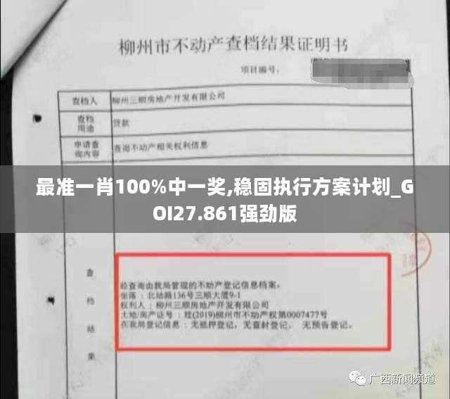 最准一肖100%中一奖,稳固执行方案计划_GOI27.861强劲版