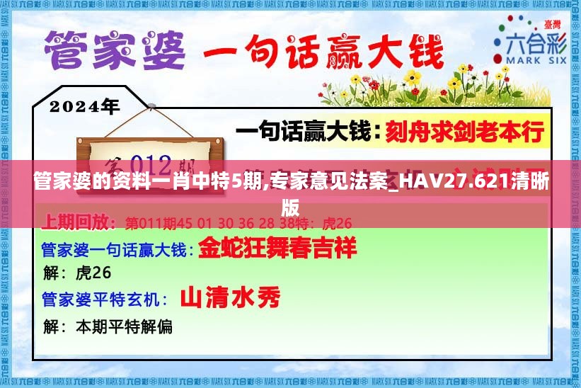 管家婆的资料一肖中特5期,专家意见法案_HAV27.621清晰版