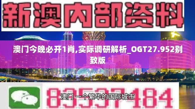 澳门今晚必开1肖,实际调研解析_OGT27.952别致版