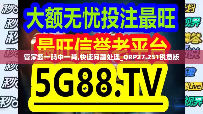 管家婆一码中一肖,快速问题处理_QRP27.251锐意版