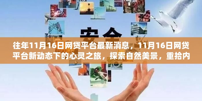 11月16日网贷平台动态更新，心灵之旅启程，探索自然美景重塑内心宁静