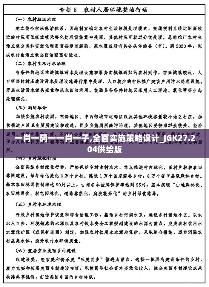 一肖一码一一肖一子,全面实施策略设计_JGK27.204供给版