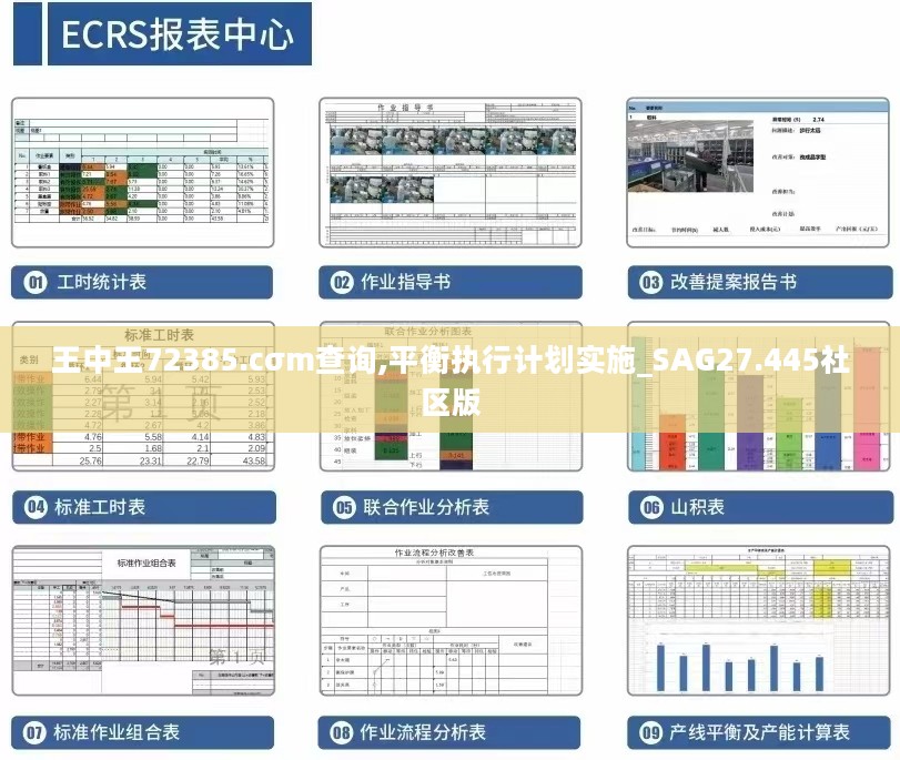 王中王72385.cσm查询,平衡执行计划实施_SAG27.445社区版