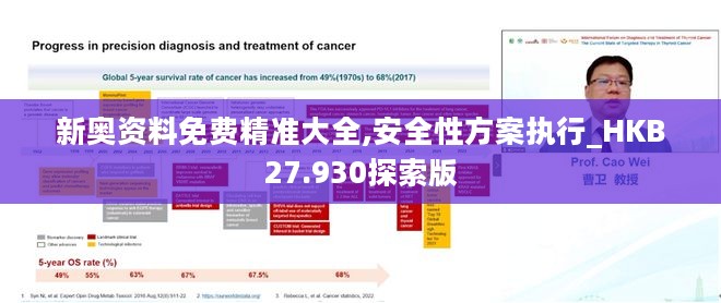 新奥资料免费精准大全,安全性方案执行_HKB27.930探索版