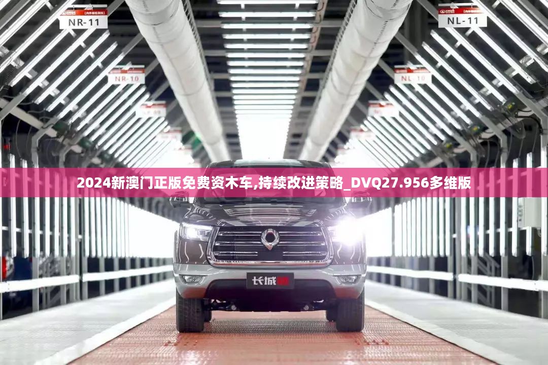 2024新澳门正版免费资木车,持续改进策略_DVQ27.956多维版