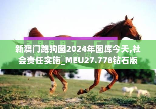 新澳门跑狗图2024年图库今天,社会责任实施_MEU27.778钻石版