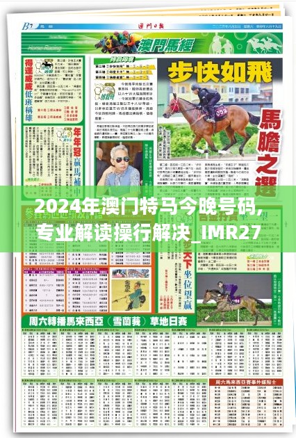 2024年澳门特马今晚号码,专业解读操行解决_IMR27.291活力版