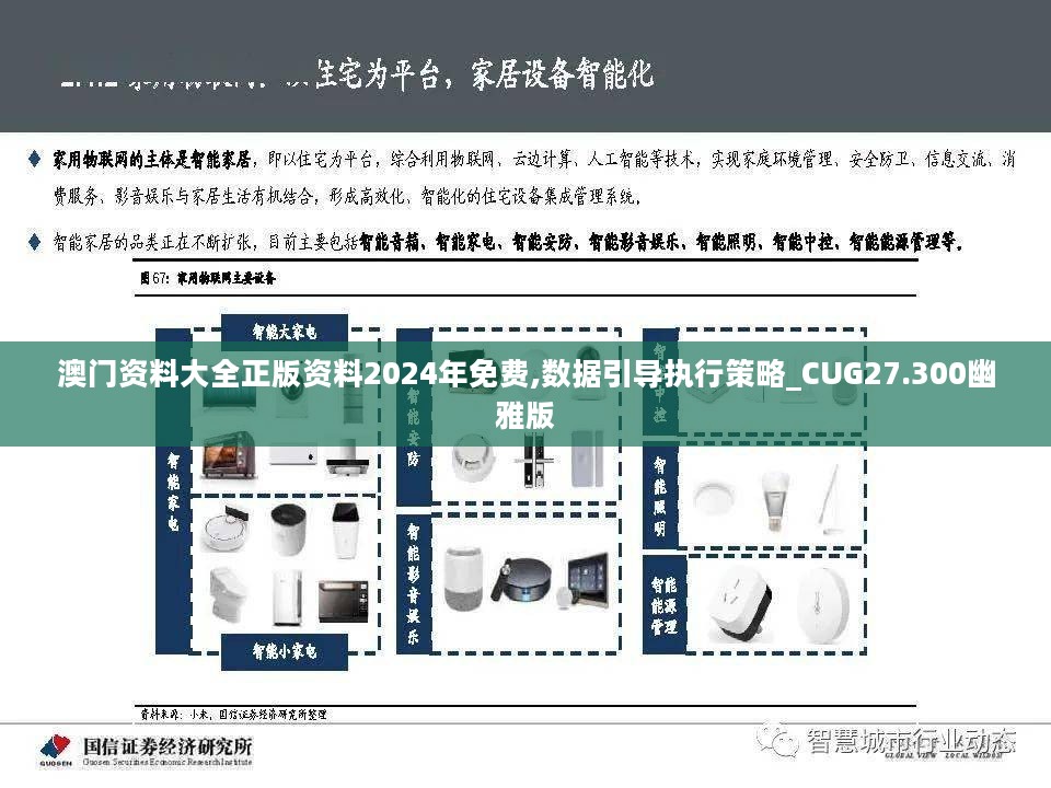 澳门资料大全正版资料2024年免费,数据引导执行策略_CUG27.300幽雅版