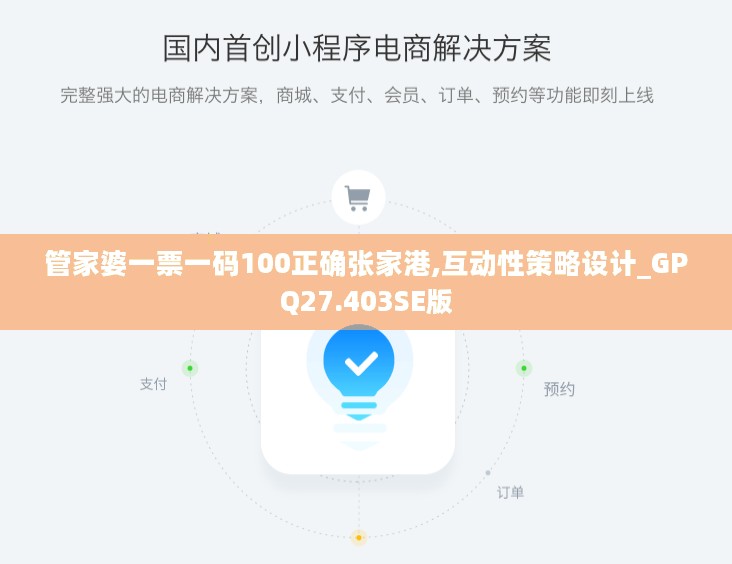 管家婆一票一码100正确张家港,互动性策略设计_GPQ27.403SE版
