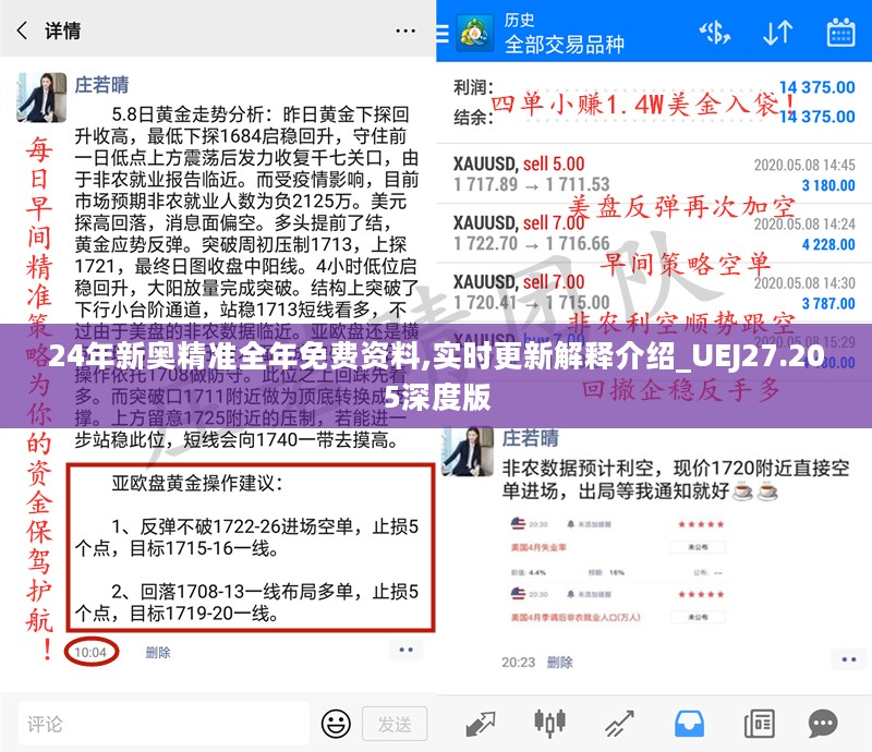 24年新奥精准全年免费资料,实时更新解释介绍_UEJ27.205深度版