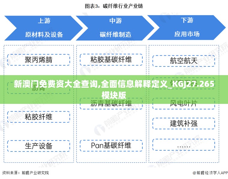 新澳门免费资大全查询,全面信息解释定义_KGJ27.265模块版