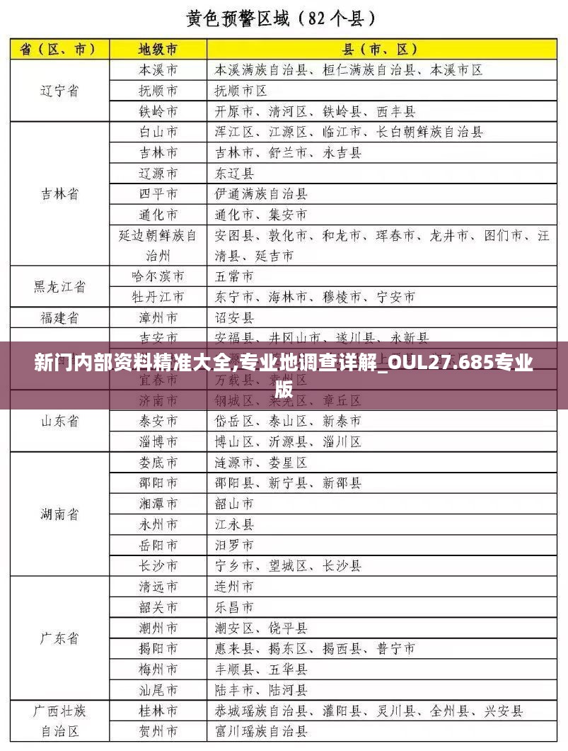 新门内部资料精准大全,专业地调查详解_OUL27.685专业版