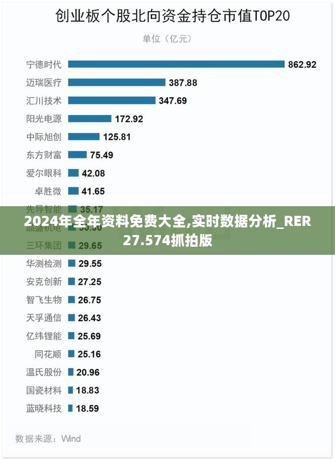 2024年全年资料免费大全,实时数据分析_RER27.574抓拍版