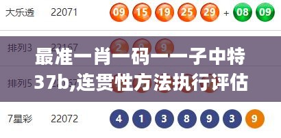 最准一肖一码一一子中特37b,连贯性方法执行评估_CNY27.816习惯版