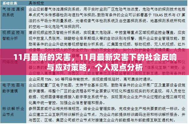 11月最新灾害的社会反响与应对策略，个人观点分析