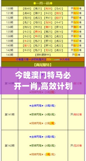 今晚澳门特马必开一肖,高效计划实施_YCL27.925探索版