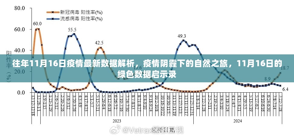 疫情阴霾下的绿色启示录，疫情数据与自然之旅解析（11月16日最新数据）