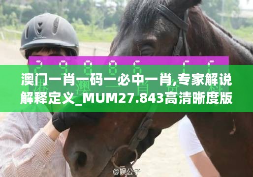 澳门一肖一码一必中一肖,专家解说解释定义_MUM27.843高清晰度版