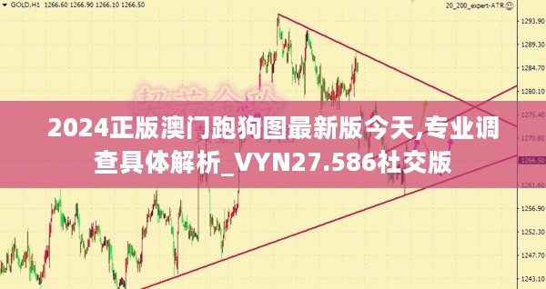 2024正版澳门跑狗图最新版今天,专业调查具体解析_VYN27.586社交版