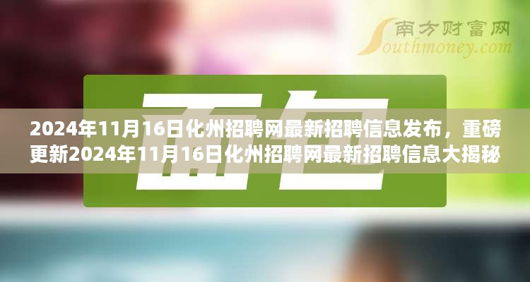 2024年11月16日化州招聘网最新招聘信息汇总与揭秘