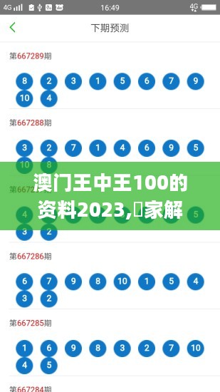 澳门王中王100的资料2023,專家解析意見_JYY27.410商务版