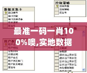 最准一码一肖100%噢,实地数据验证_FNP27.318外观版