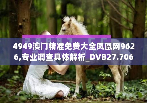 4949澳门精准免费大全凤凰网9626,专业调查具体解析_DVB27.706随身版