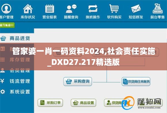 管家婆一肖一码资料2024,社会责任实施_DXD27.217精选版