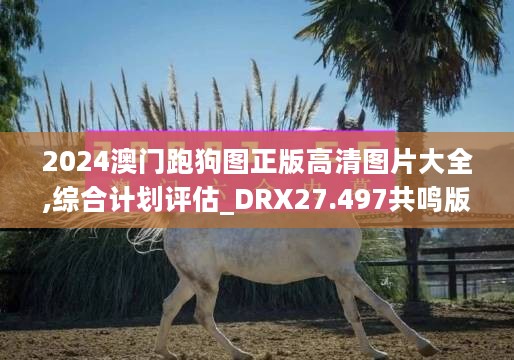 2024澳门跑狗图正版高清图片大全,综合计划评估_DRX27.497共鸣版