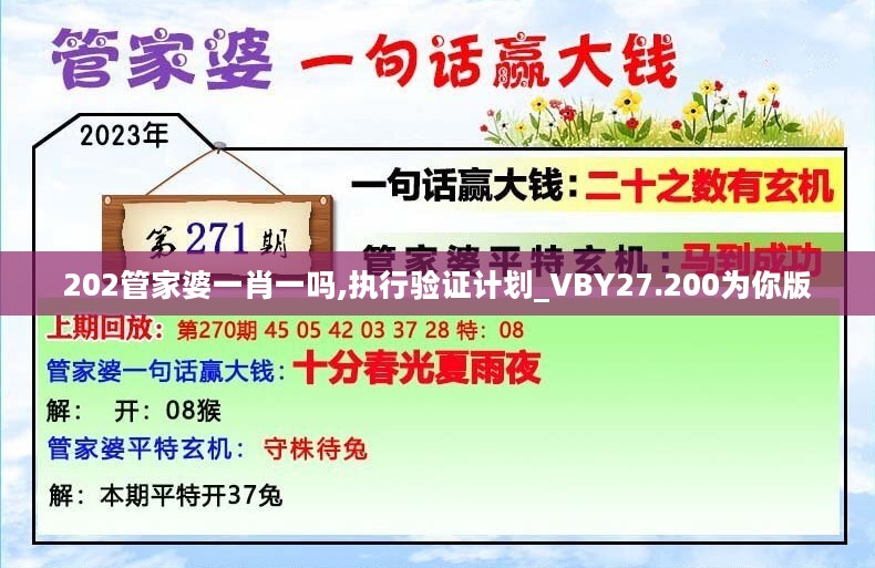 202管家婆一肖一吗,执行验证计划_VBY27.200为你版